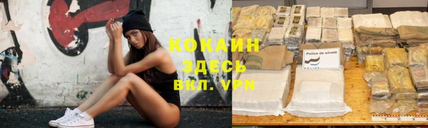 альфа пвп Каменногорск