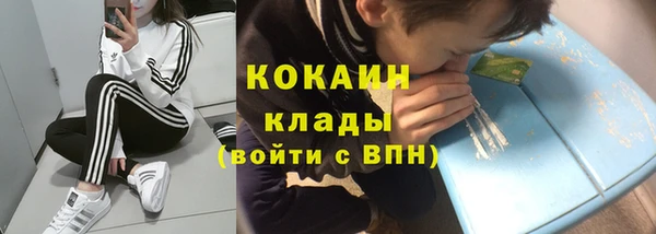 метадон Каменка