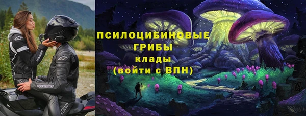 метадон Каменка