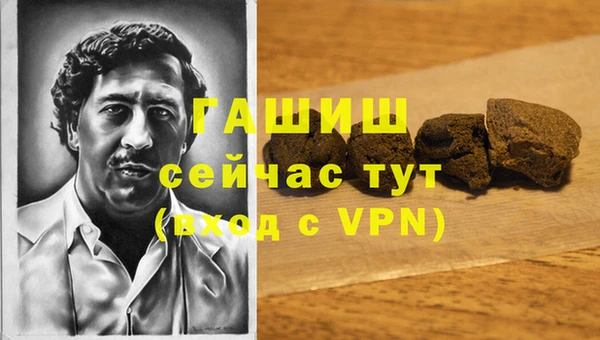 метадон Каменка