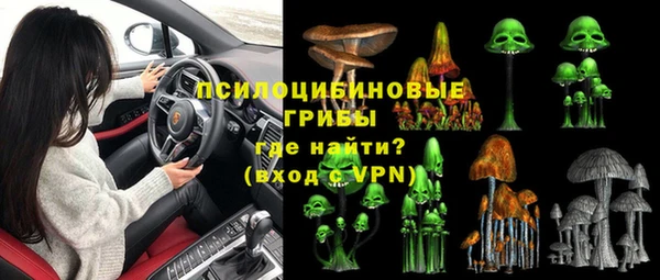 альфа пвп Каменногорск