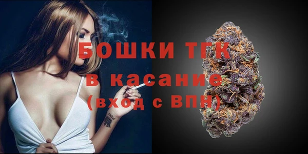 метадон Каменка