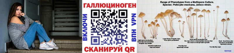 хочу   мега ONION  Псилоцибиновые грибы Psilocybe  Таштагол 